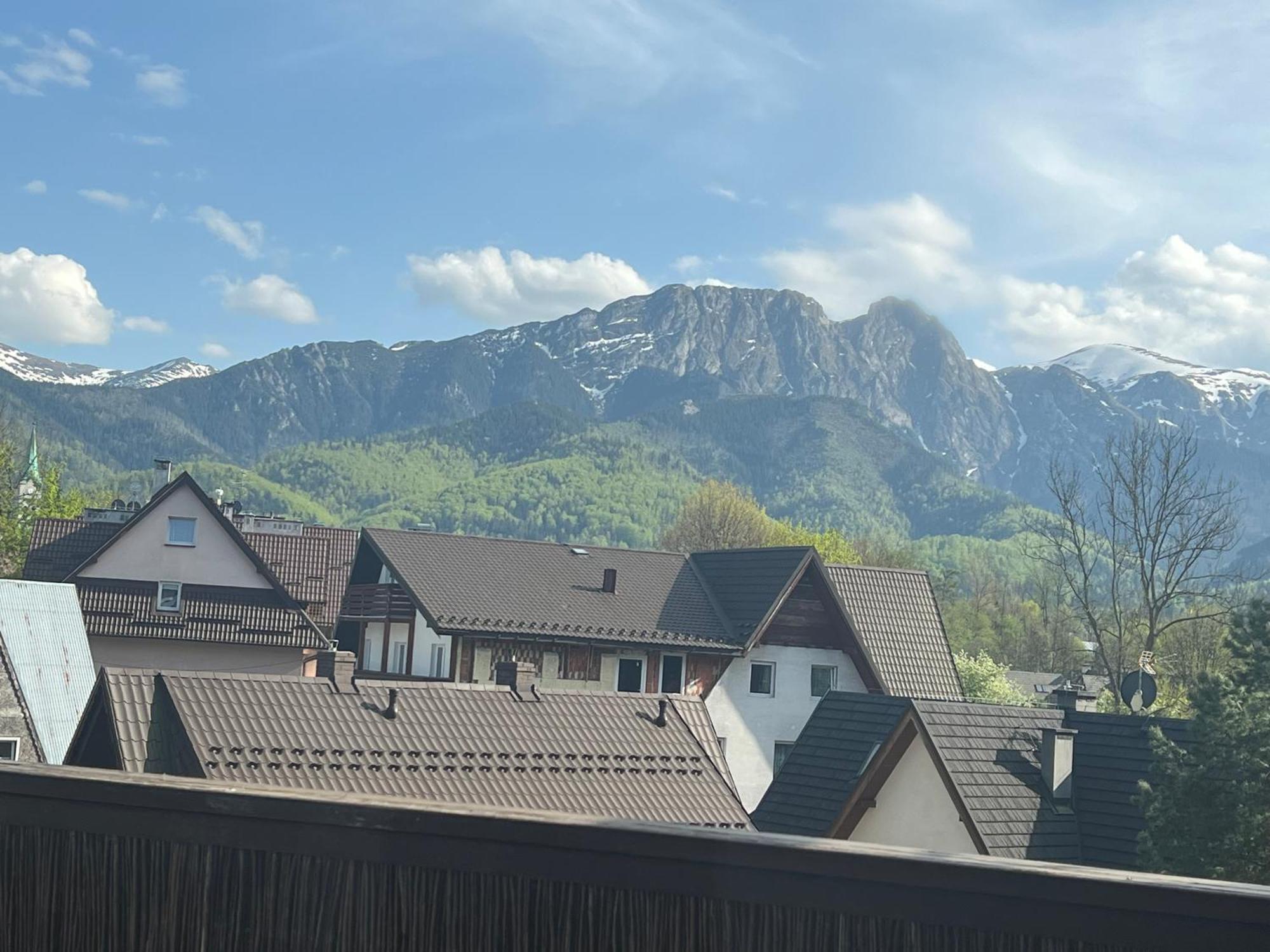 Apartament Przy Krupowkach ザコパネ エクステリア 写真